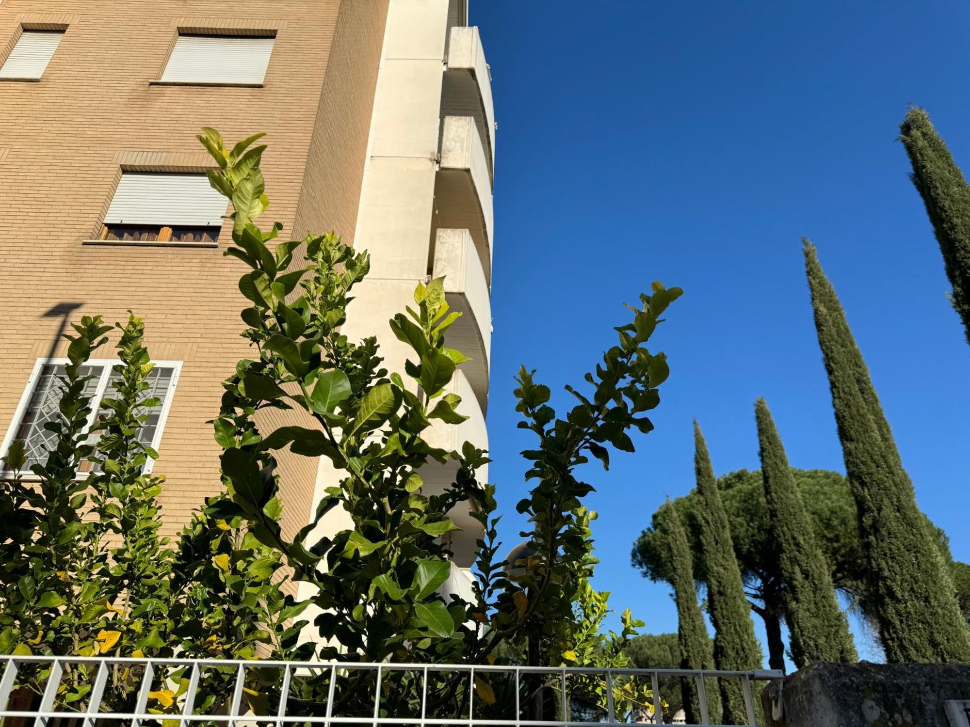 Flower Garden House Roma