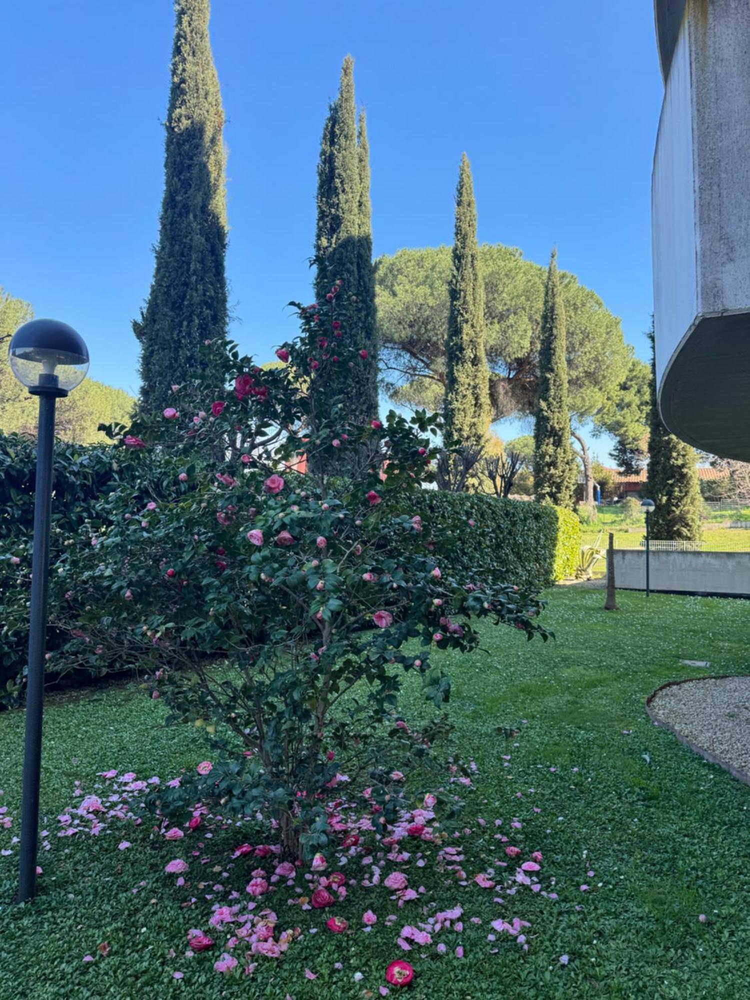 Flower Garden House Apartamento Roma